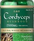 Cordyceps-dong-trung-ha-thao