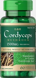 Cordyceps-dong-trung-ha-thao