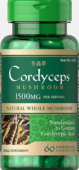 Cordyceps-dong-trung-ha-thao