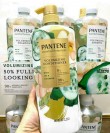 dau-goi-pantene