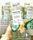 dau-xa-pantene